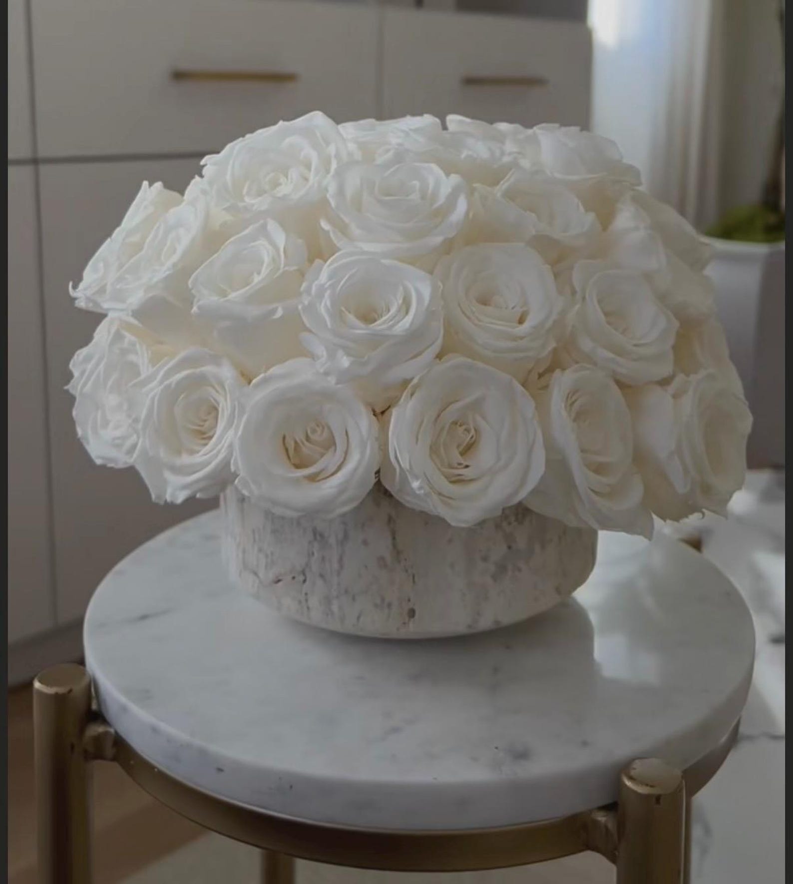 10 Preserved White Roses Real Forever Flowers for DIY Bouquets, Arrangements