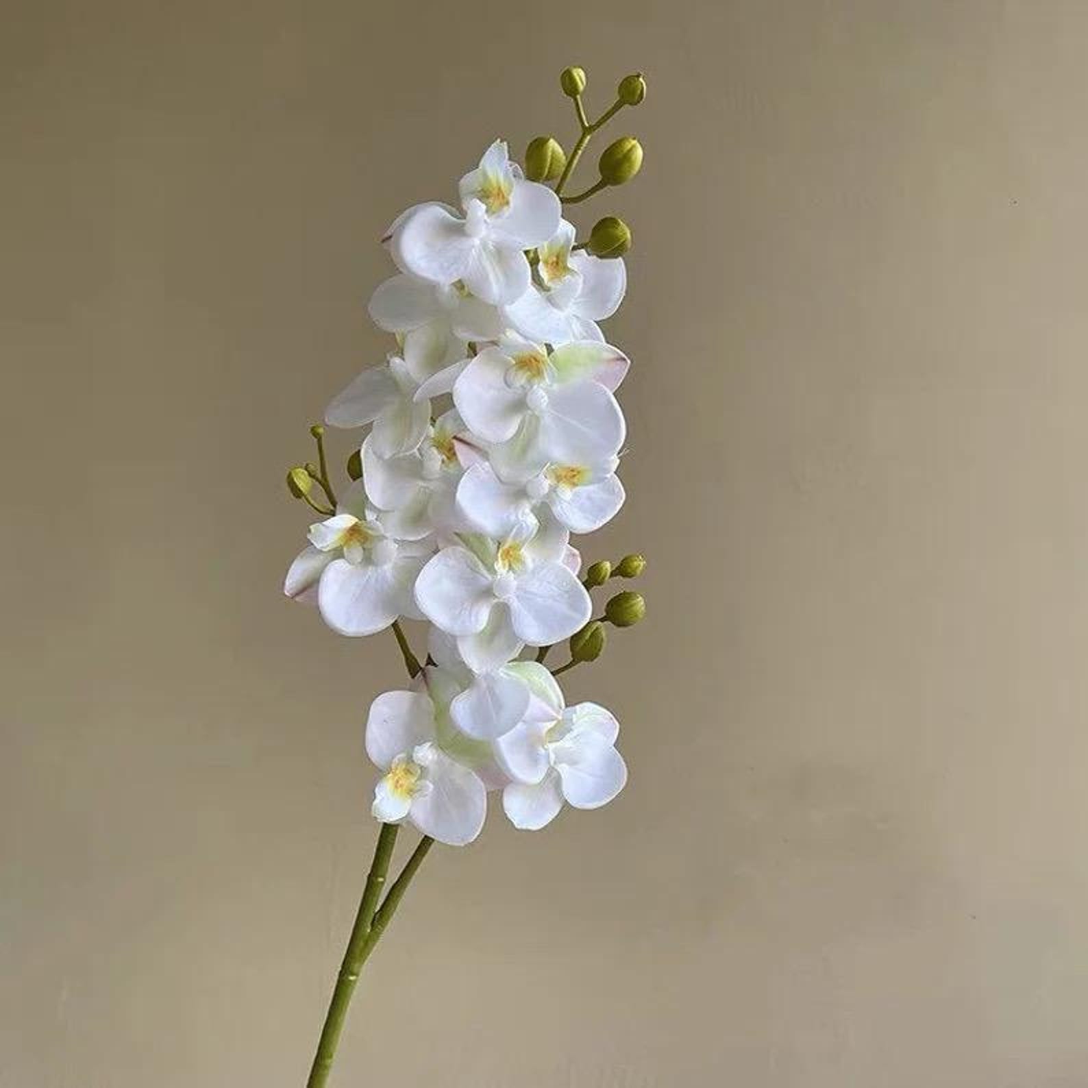 Real Touch Artificial Orchid Branch – White 2 Fork Stem, Floral Decor, Wedding Flowers